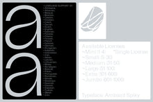 Load image into Gallery viewer, Ambiant Spiky