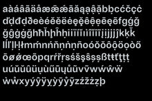 Load image into Gallery viewer, Ambiant Sans Medium